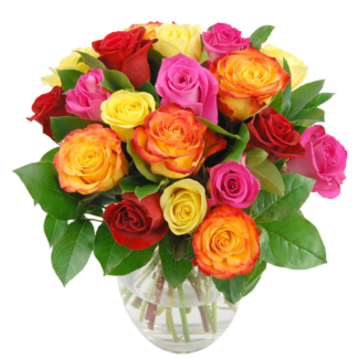 25 colorful roses | Flower Delivery Dmitrov